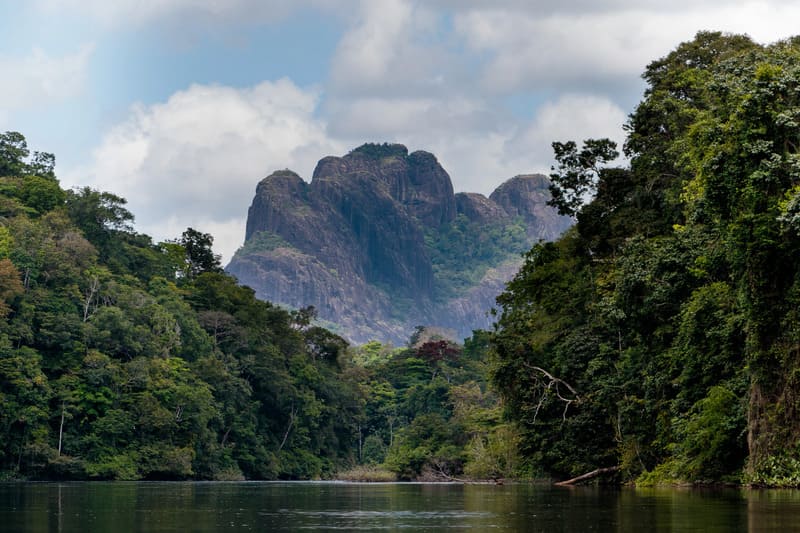 Kasikasima Jungle Expedition (8 days)