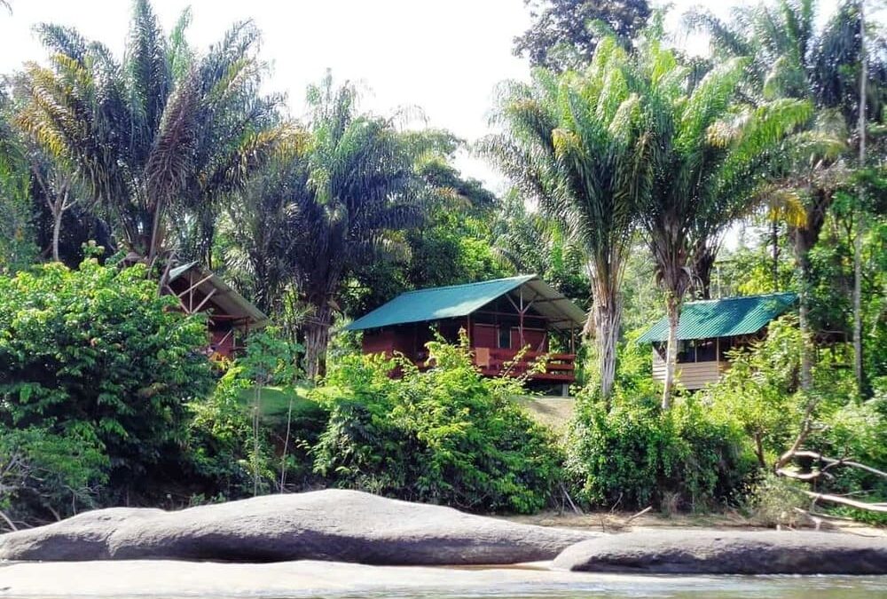 Jungle Resort Pingpe : retour aux sources (6 jours)