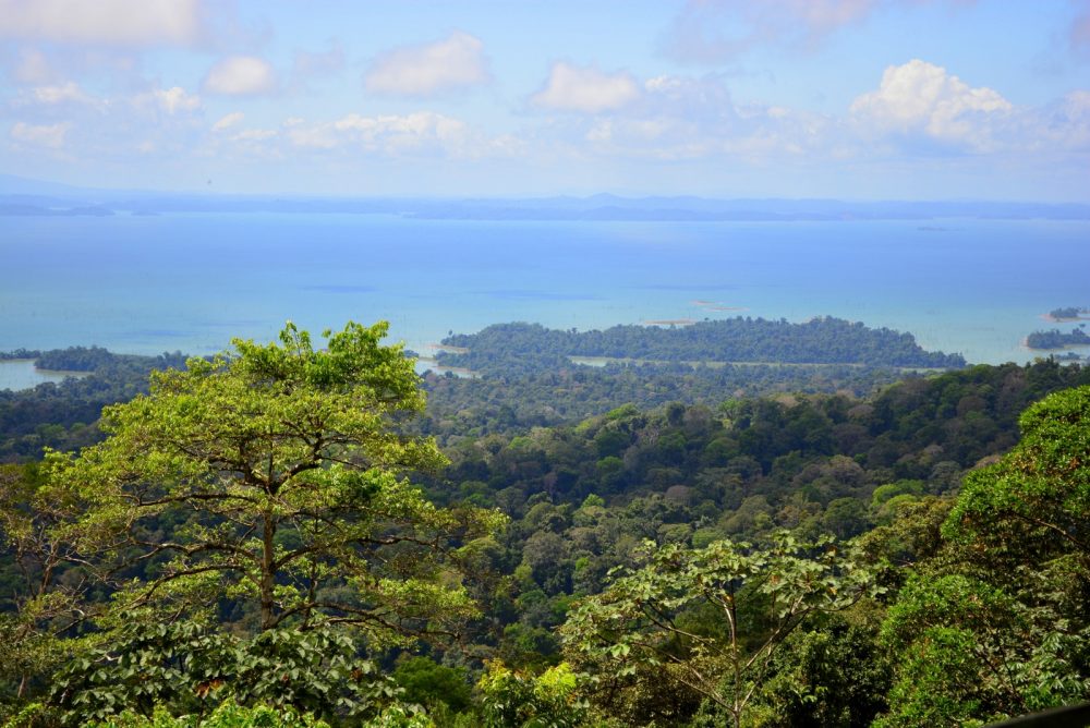 Suriname Jungle & Cultuur