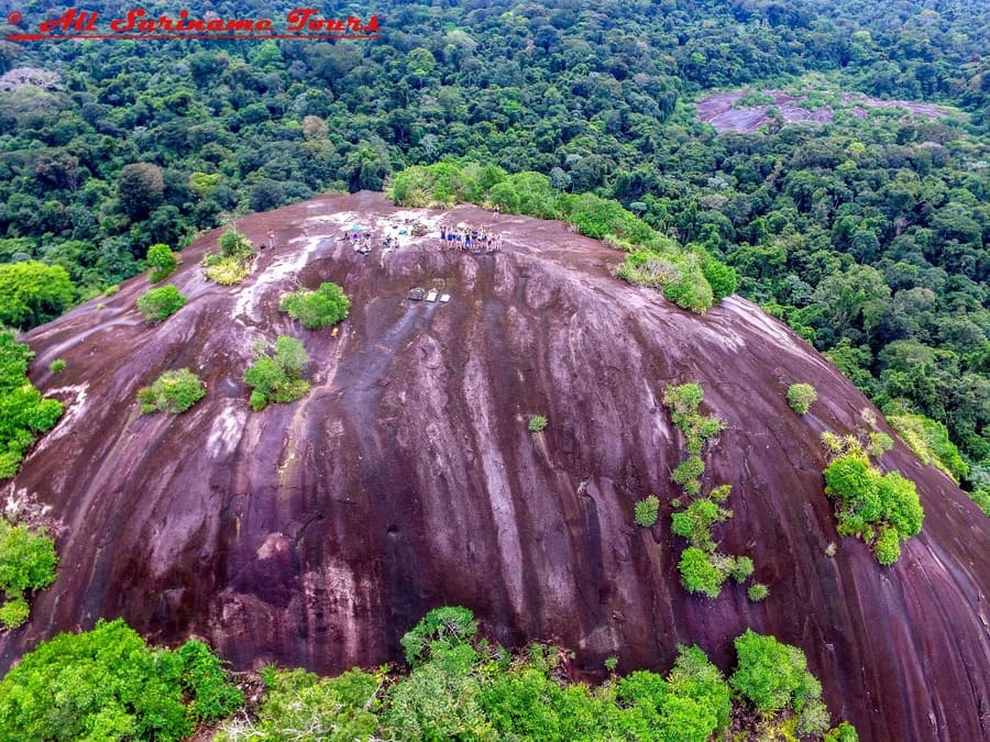 Suriname Jungle Experience