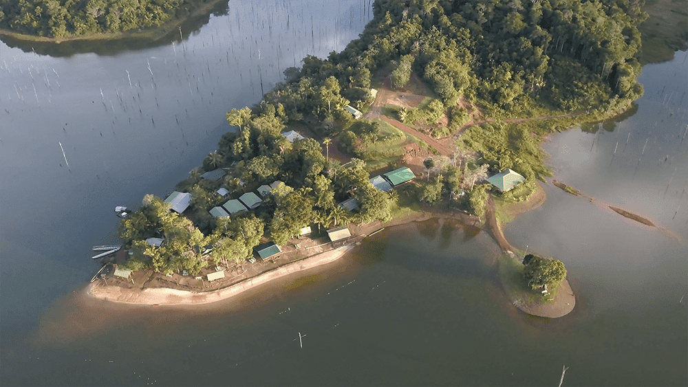 Brownsberg, Stone Island und Jaw Jaw (5 Tage)