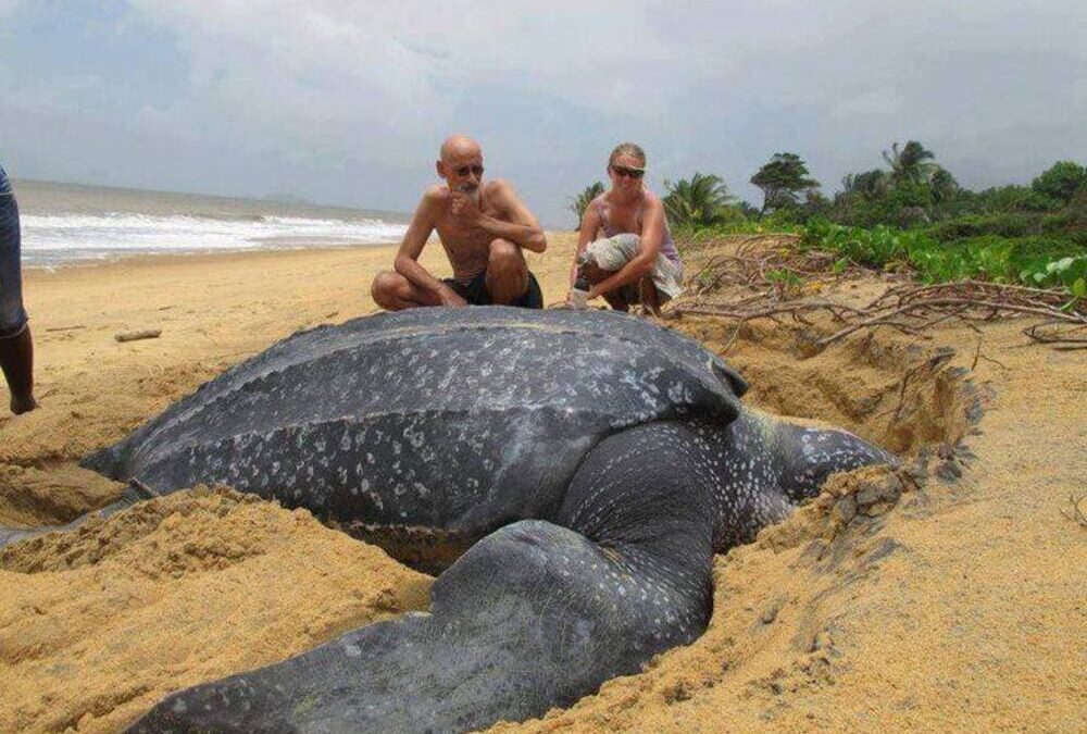 Galibi Strand & Frans Guyana (3 dagen)