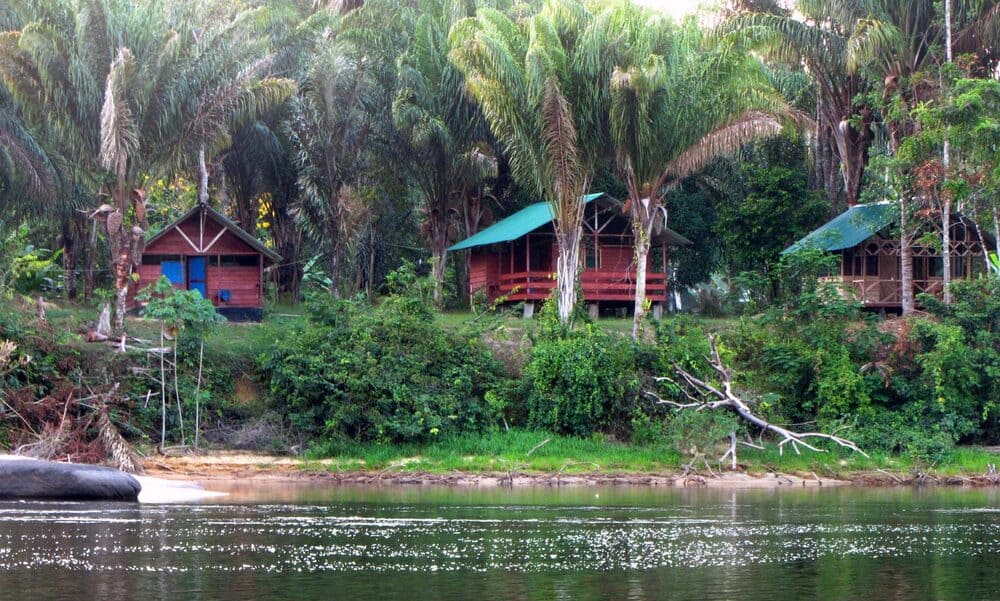 Jungle Resort Pingpe (3 days)