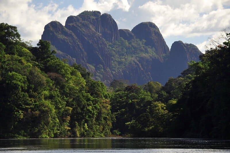 Kasikasima Jungle Expeditie (5 dagen)