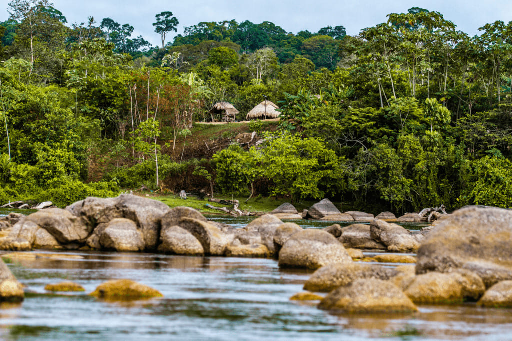 Relaxed Suriname