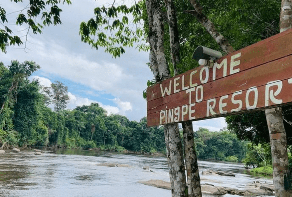 Jungle Resort Pingpe (5 jours)