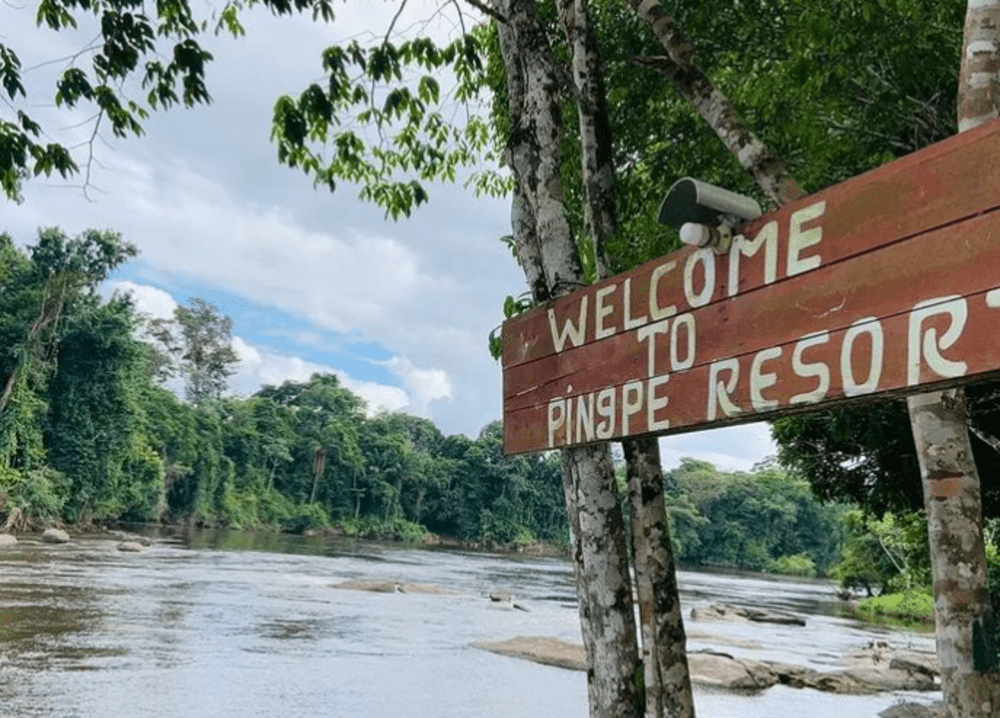 Jungle Resort Pingpe (5 days)