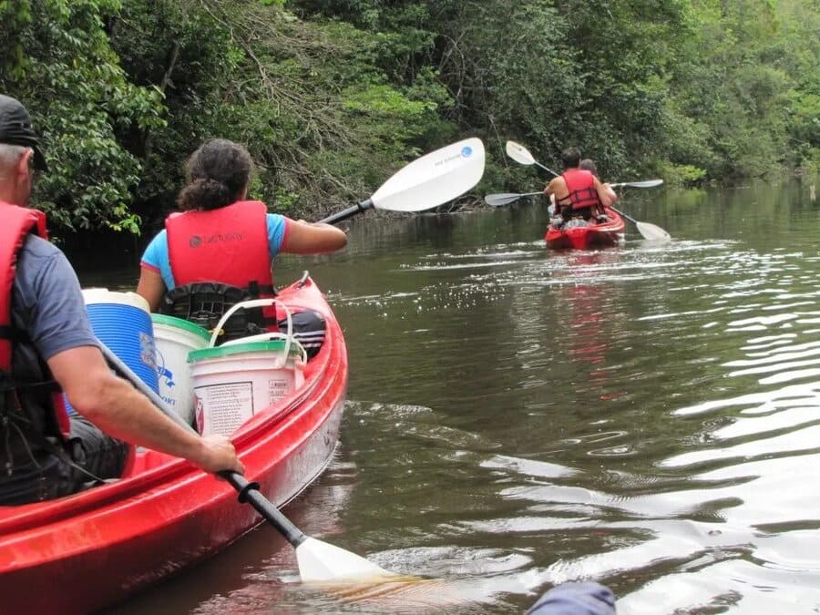 Kayak tour in Coesewijne