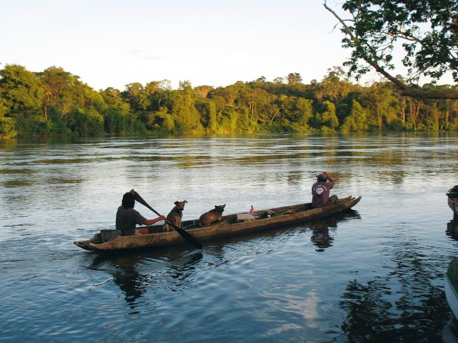 Palumeu Jungle Lodge (4 days)