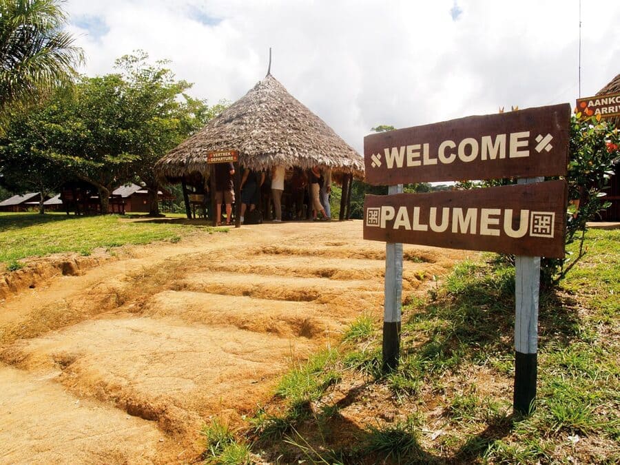 Palumeu Jungle Lodge (5 days)