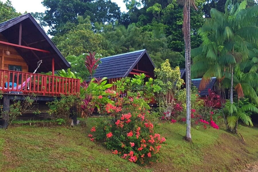 Danpaati River Lodge (5 días)