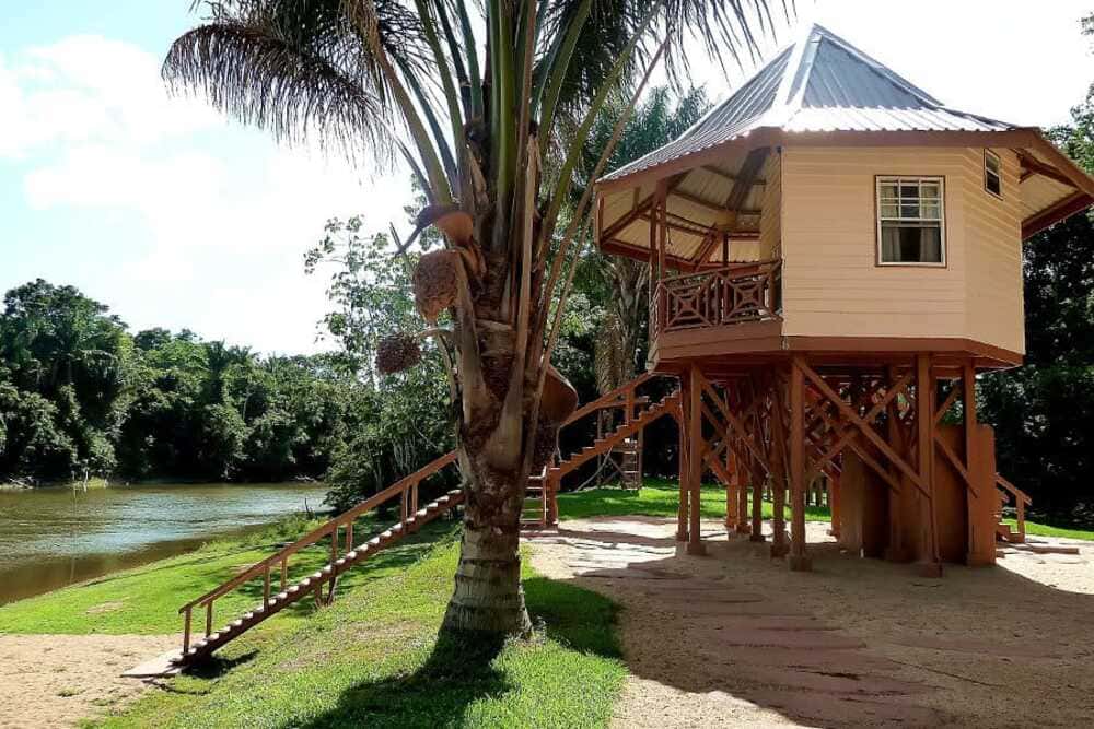 Kabalebo Nature Resort (8 days)